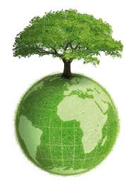eco friendly